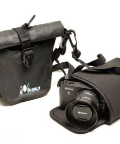 Amphibious Anura -black